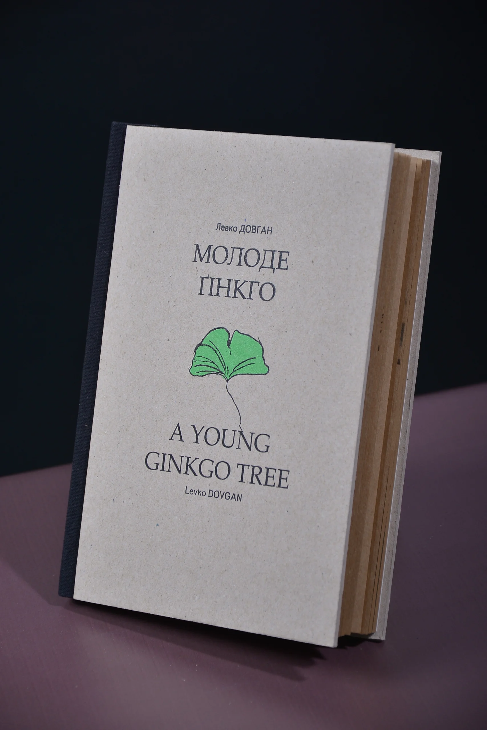 Книжка з листяного картону з українською й англійською назвою та зеленим деревом на обкладинці