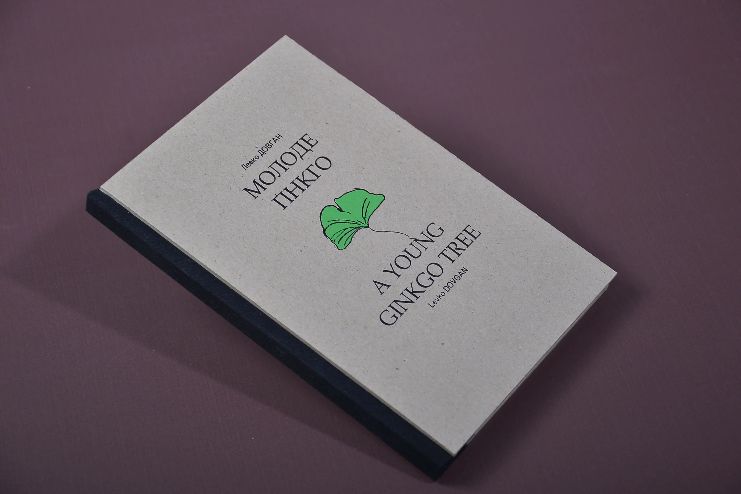 Книжка з листяного картону зі світлою обкладинкою та зображенням дерева гінкго